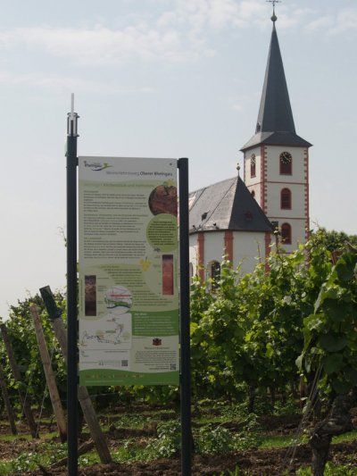 Informatiebord over het wijnbelevenispad en de kerk in de wijngaard bij Hochheim