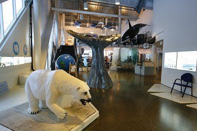 Blick in die Eingangshalle des Museums Polaria in Tromsoe