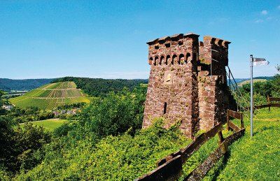 Blick vom Bismarckturm auf dem Geisberg ins Tal