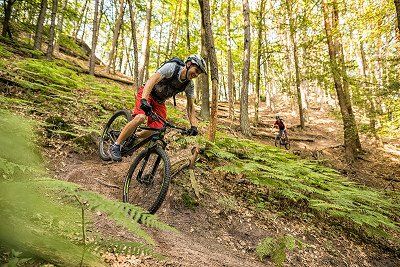 Mountainbikers op een kronkelpad bij Hauenstein, Pfaelzer Woud