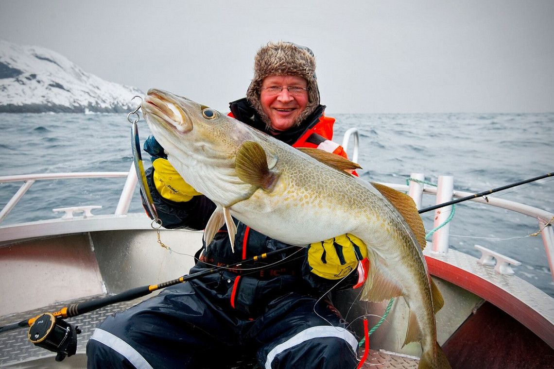 Angler mit grossem Skrei auf Boot auf dem Nusfjord