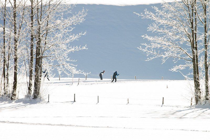 Mit Womo zur Loipe – Skilanglauftipps in Deutschland