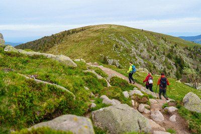 Wanderer auf Wanderpfad am Hohneck