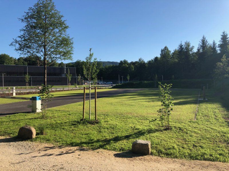 Wohnmobilstellplatz Mooswald