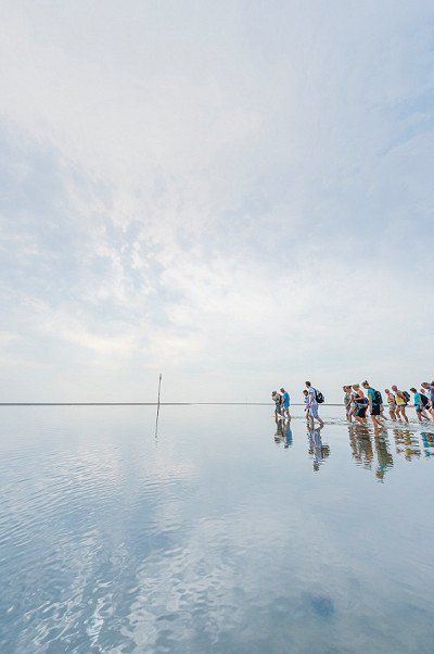 Gruppe bei Wattwanderung von Amrum nach Foehr