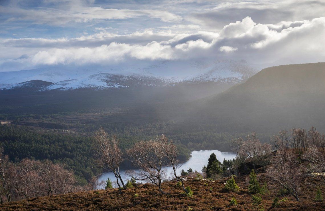 Winter im Nationalpark Cairngorms am Loch Eilein