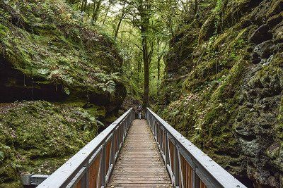 Steg auf Wanderweg bei Berdorf, Mullerthal Trail