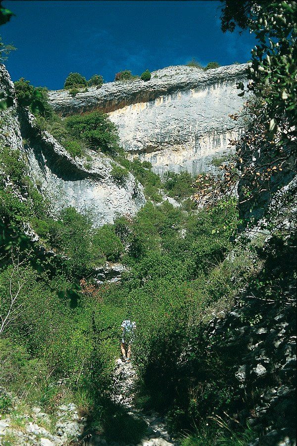 Blick auf die Felswand der Combe de Curnier