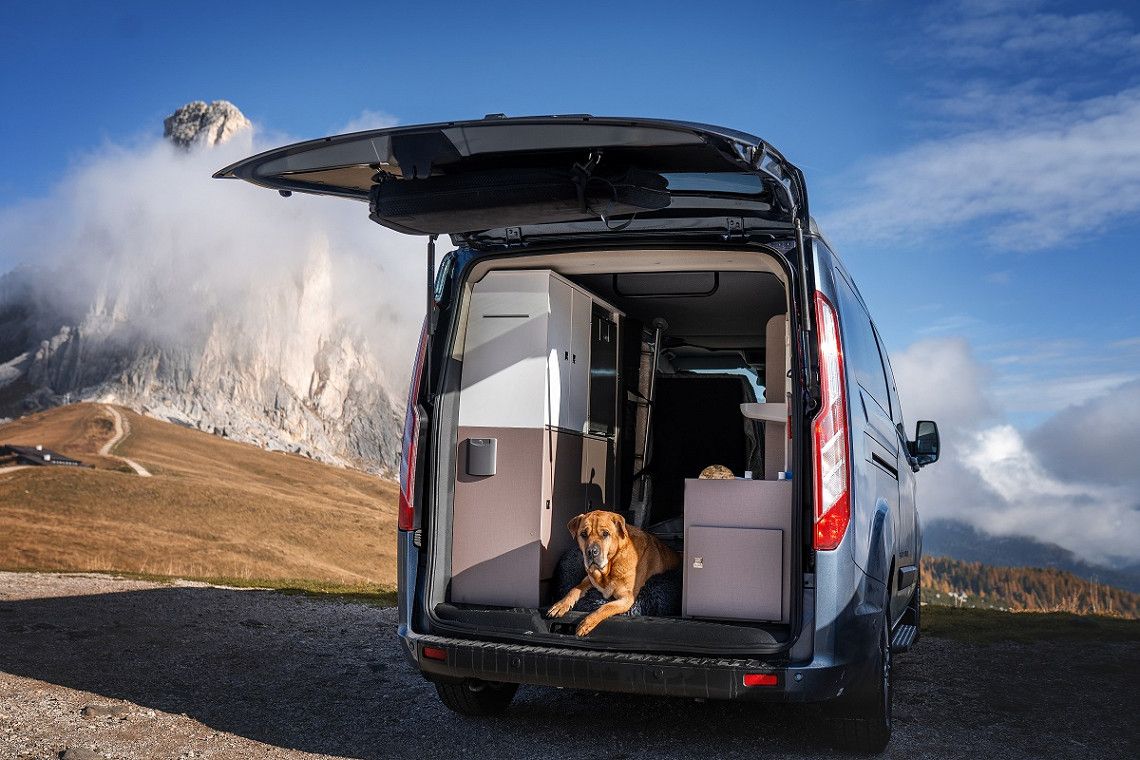 Hund im Urban Camper Copa von Buerstner