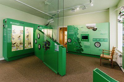 Ausstellungsraum im Naturkundemuseum Niebuell