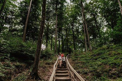 Treppe im Wald auf dem Fuussepad in Luxemburg