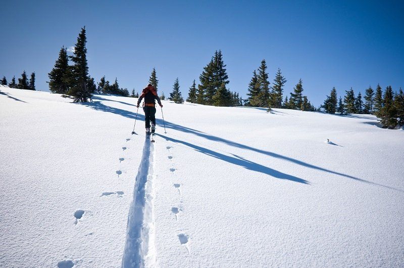 Skitourengeher in verschneiter Landschaft in Finnland