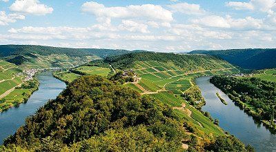 Rundwanderung mit Mosel-Panoramablicken rund um Reil