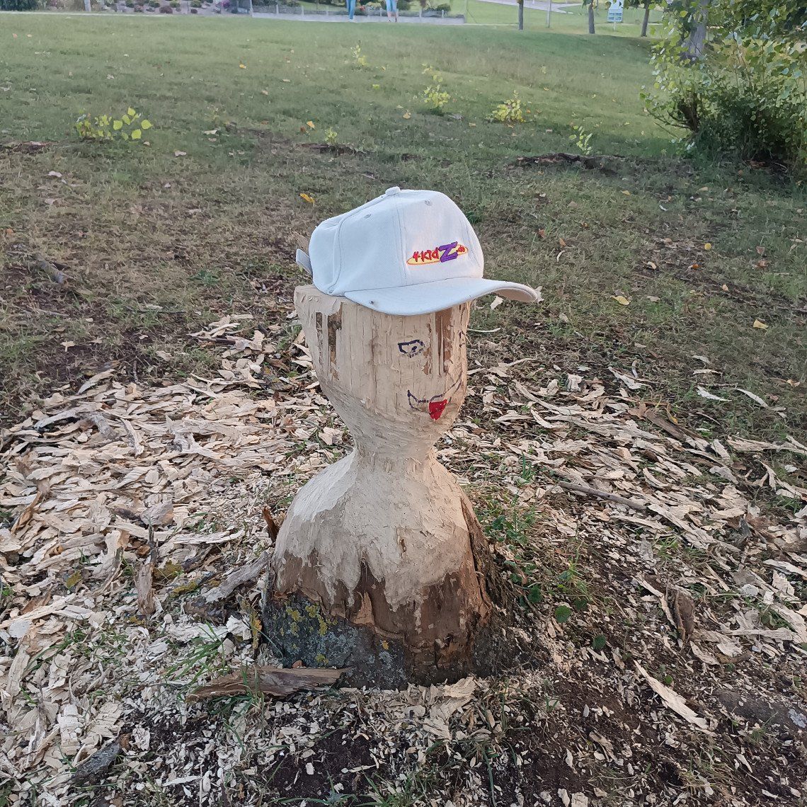 Süddeutschland - Anstatt Wien wegen Hochwasser