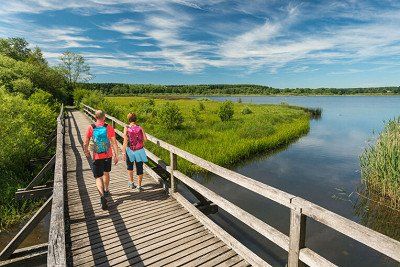 Houten loopbrug bij de Dreifelder Weiher in het Westerwald