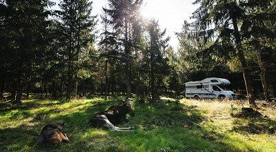 Campingurlaub mit Kindern in Schweden Teil 2