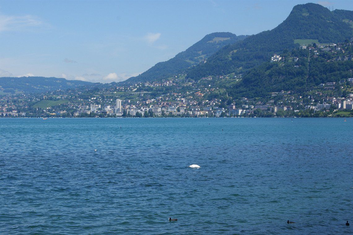 Zwitserse bergen, het meer van Genève en het Berner Oberland