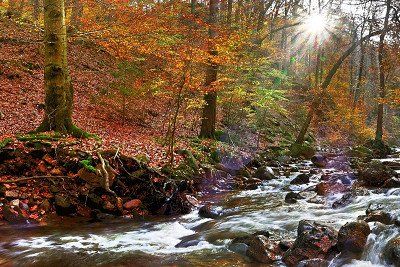 Ilsetal im Harz mit Herbstlaub