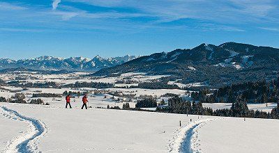 Schneeschuhtour im Allgäu zum Burgkranzenegger Horn